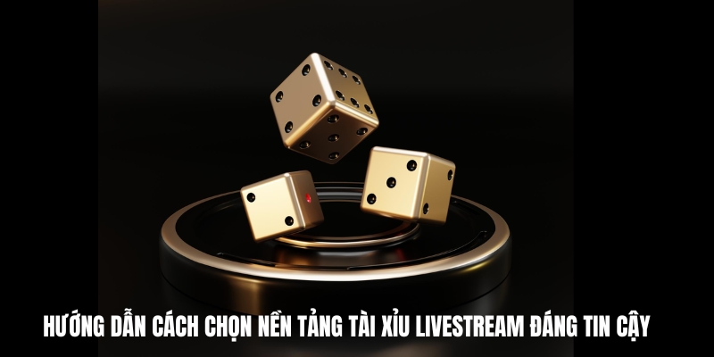 Hướng dẫn cách chọn nền tảng tài xỉu livestream đáng tin cậy