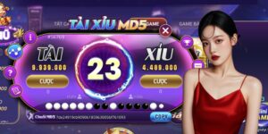 Tìm hiểu tổng quan về tài xỉu MD5