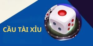Tìm hiểu về cầu tài xỉu